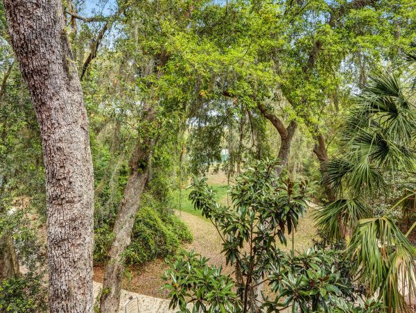 Fernandina Beach Amelia Island Condo 1028671
