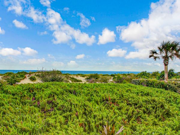 Fernandina Beach Amelia Island Condo 1028677