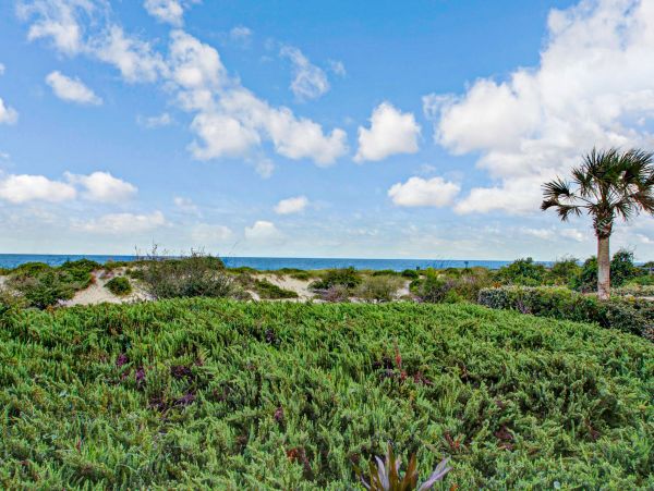 Fernandina Beach Amelia Island Home 1028682