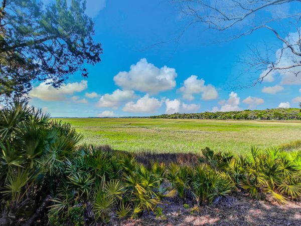 Fernandina Beach Amelia Island Condo 1028690