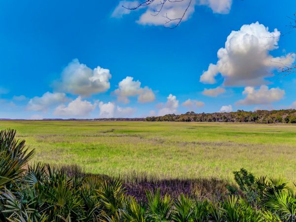 Fernandina Beach Amelia Island Condo 1028690