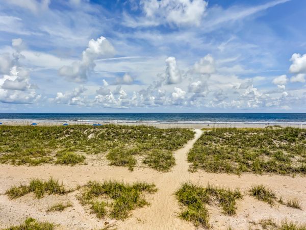 Fernandina Beach Amelia Island Home 1028694