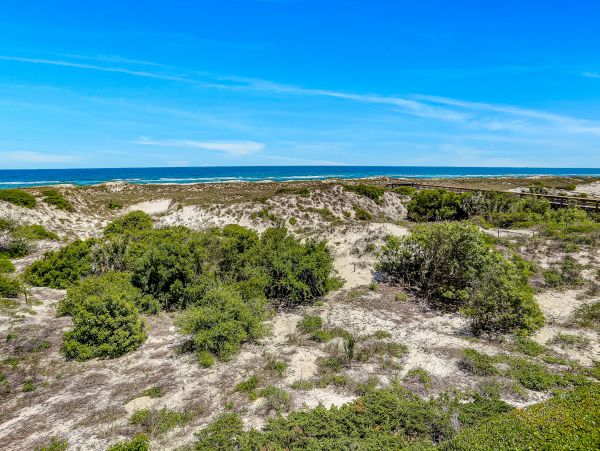 Fernandina Beach Amelia Island Condo 1028696