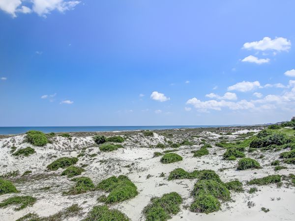 Fernandina Beach Amelia Island Home 1028709