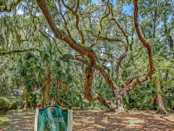 Fernandina Beach Amelia Island Home 1028710