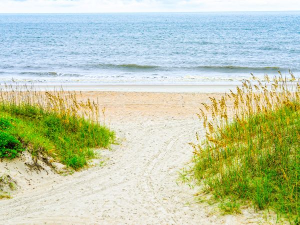 Fernandina Beach Amelia Island Home 1028716