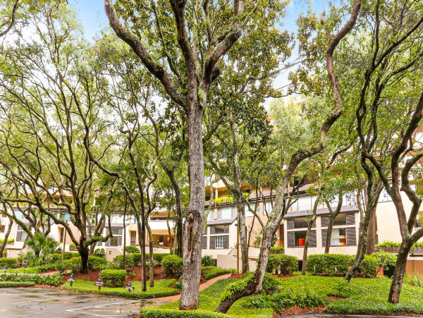 Fernandina Beach Amelia Island Condo 1028725