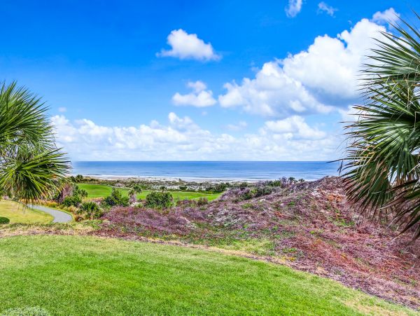 Fernandina Beach Amelia Island Condo 1028731