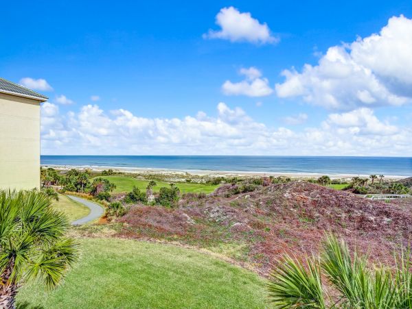 Fernandina Beach Amelia Island Condo 1028731
