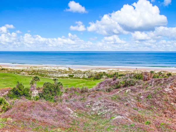 Fernandina Beach Amelia Island Condo 1028731