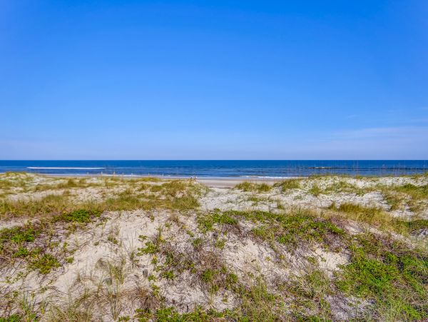 Fernandina Beach Amelia Island Condo 1028731