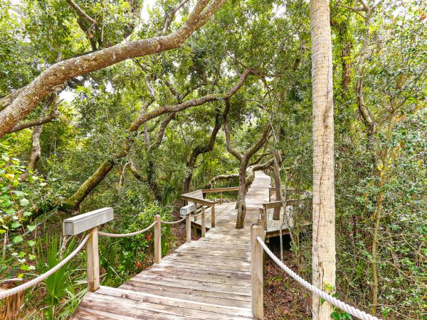 Fernandina Beach Amelia Island Condo 1028735