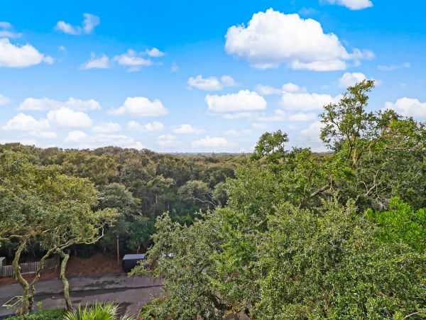 Fernandina Beach Amelia Island Condo 1028736