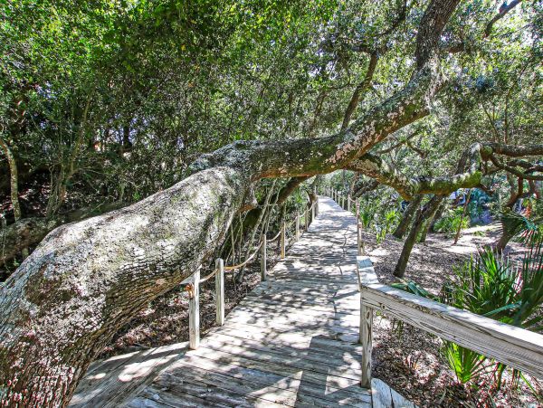 Fernandina Beach Amelia Island Condo 1028736