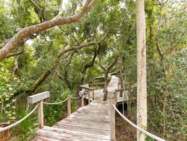 Fernandina Beach Amelia Island Condo 1028739