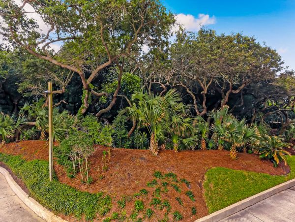 Fernandina Beach Amelia Island Condo 1028740