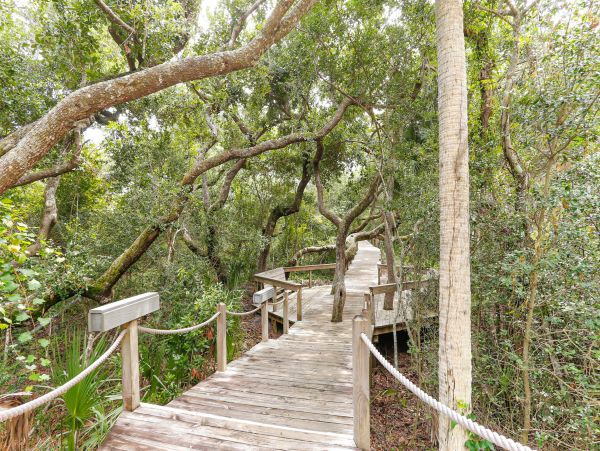 Fernandina Beach Amelia Island Condo 1028741