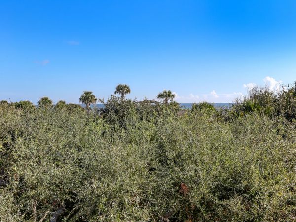 Fernandina Beach Amelia Island Condo 1028742