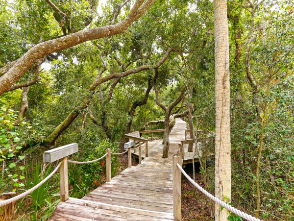 Fernandina Beach Amelia Island Condo 1028742