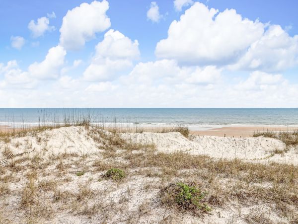 Fernandina Beach Amelia Island Home 1028749
