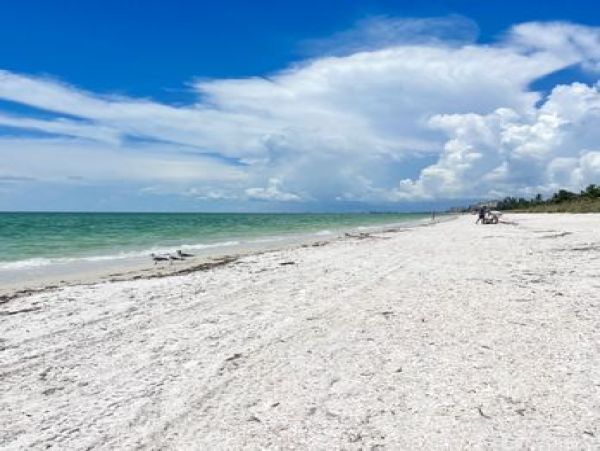 Luxurious 6-Bedroom Beachfront Residence Near Bonita Beach
