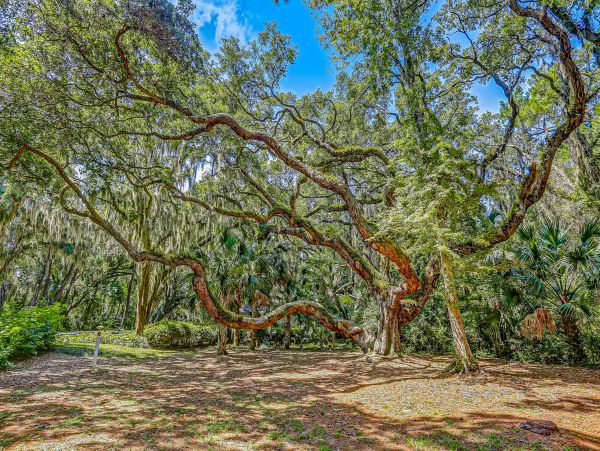Fernandina Beach Amelia Island Home 1028781