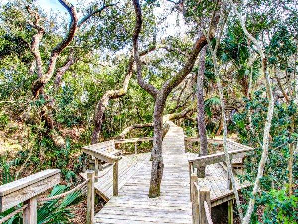Fernandina Beach Amelia Island Condo 1028783
