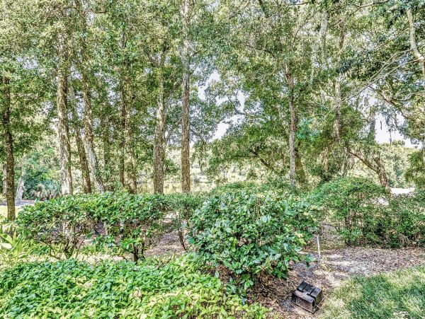 Fernandina Beach Amelia Island Home 1028790