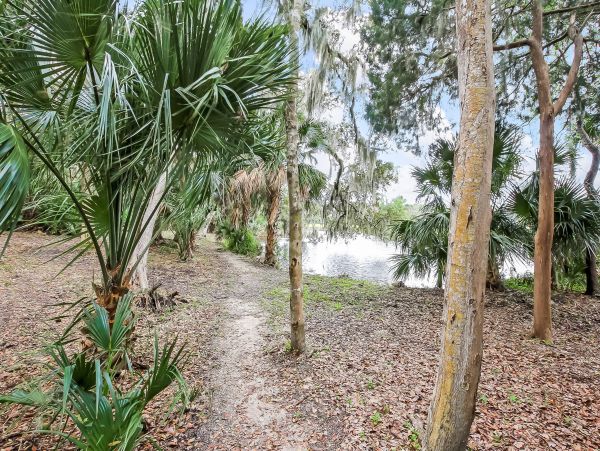 Fernandina Beach Amelia Island Condo 1028791