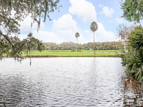 Fernandina Beach Amelia Island Condo 1028791