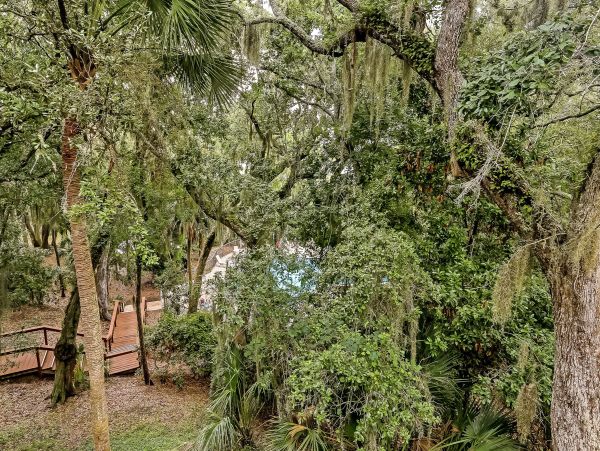 Fernandina Beach Amelia Island Condo 1028795