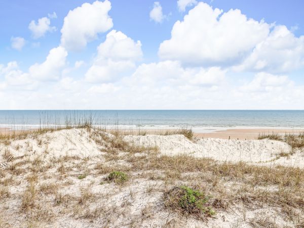 Fernandina Beach Amelia Island Condo 1028795