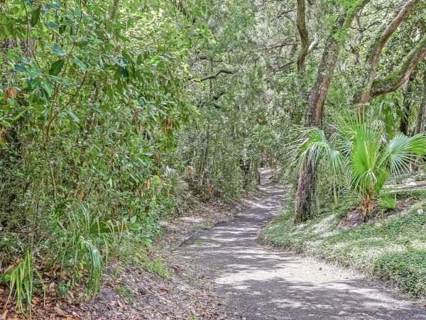 Fernandina Beach Amelia Island Condo 1028796