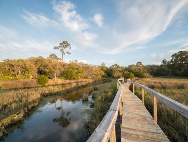 Fernandina Beach Amelia Island Home 1028810