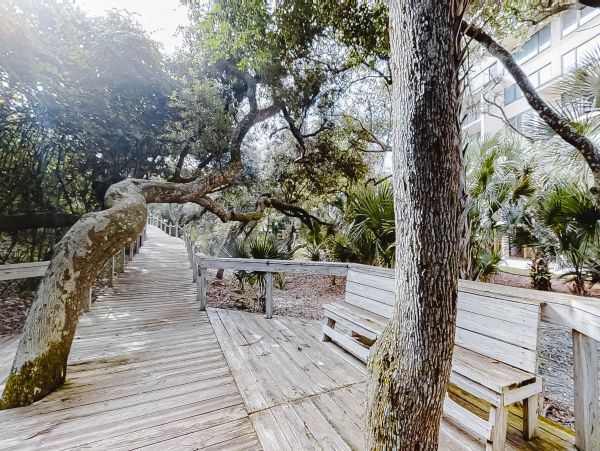 Fernandina Beach Amelia Island Condo 1028821