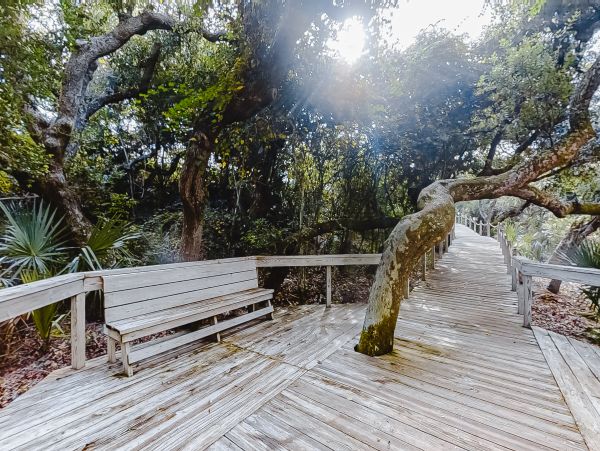 Fernandina Beach Amelia Island Condo 1028821