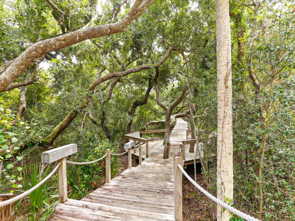 Fernandina Beach Amelia Island Condo 1028821