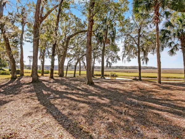 Fernandina Beach Amelia Island Condo 1028825