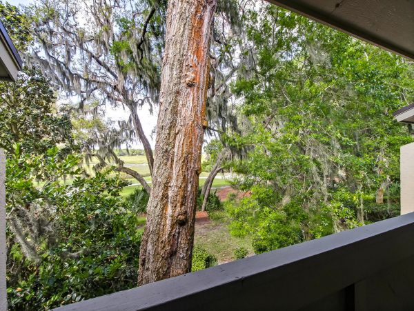 Fernandina Beach Amelia Island Condo 1028826