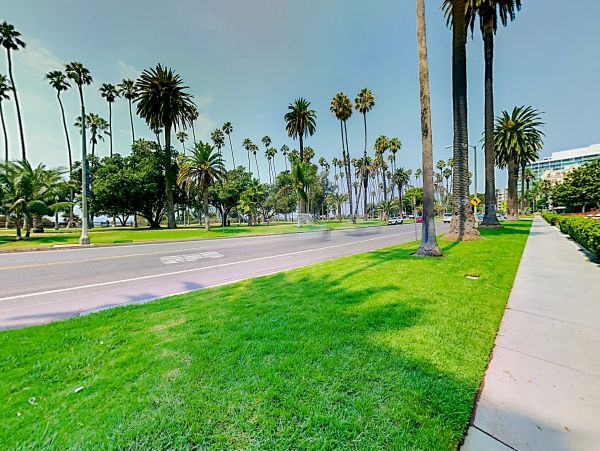 Venice Beach Home 1028831