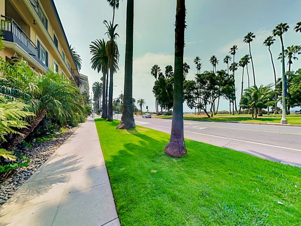 Venice Beach Home 1028831