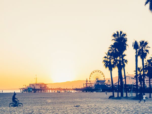 Venice Beach Home 1028831