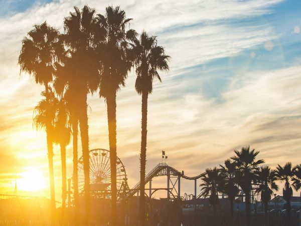 Venice Beach Home 1028831