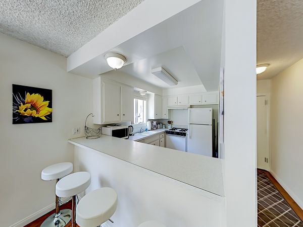 Venice Beach Home 1028836