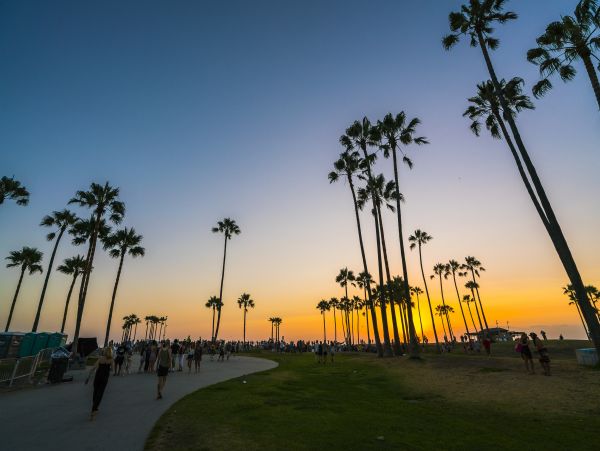 Venice Beach Home 1028839