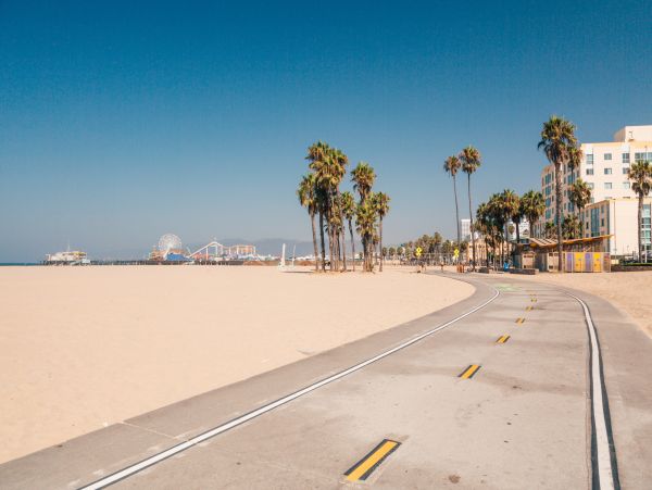 Venice Beach Home 1028840