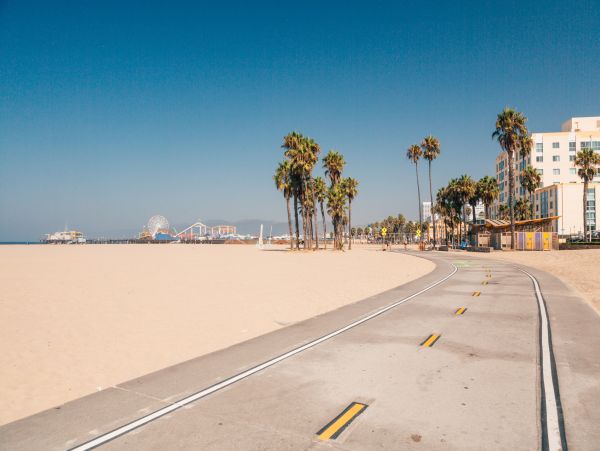 Venice Beach Home 1028842