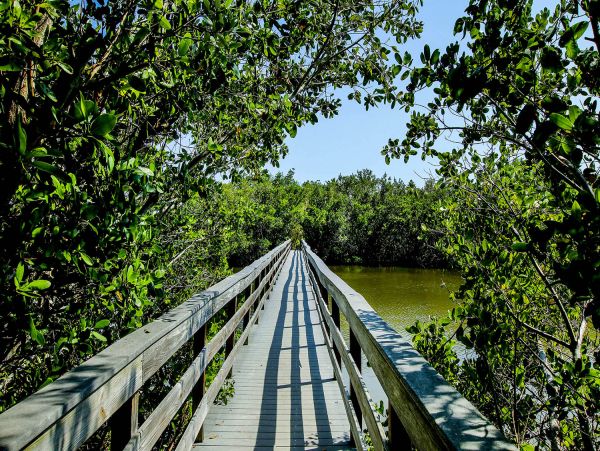 Sanibel Condo 1028846
