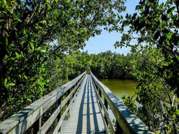 Sanibel Condo 1028847