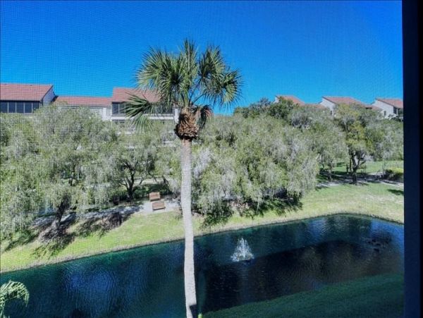 Siesta Key Condo 1028883